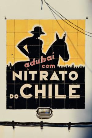 <b>Painel de azulejos "Nitrato [...]</b>